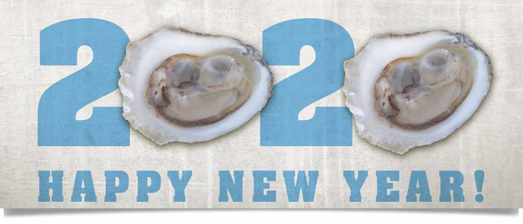 Image of Oysters. 2020 Happy New Year.